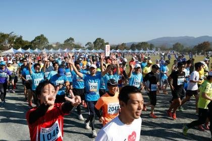 🦢 이즈미 두루미 관찰 센터 이미지 8